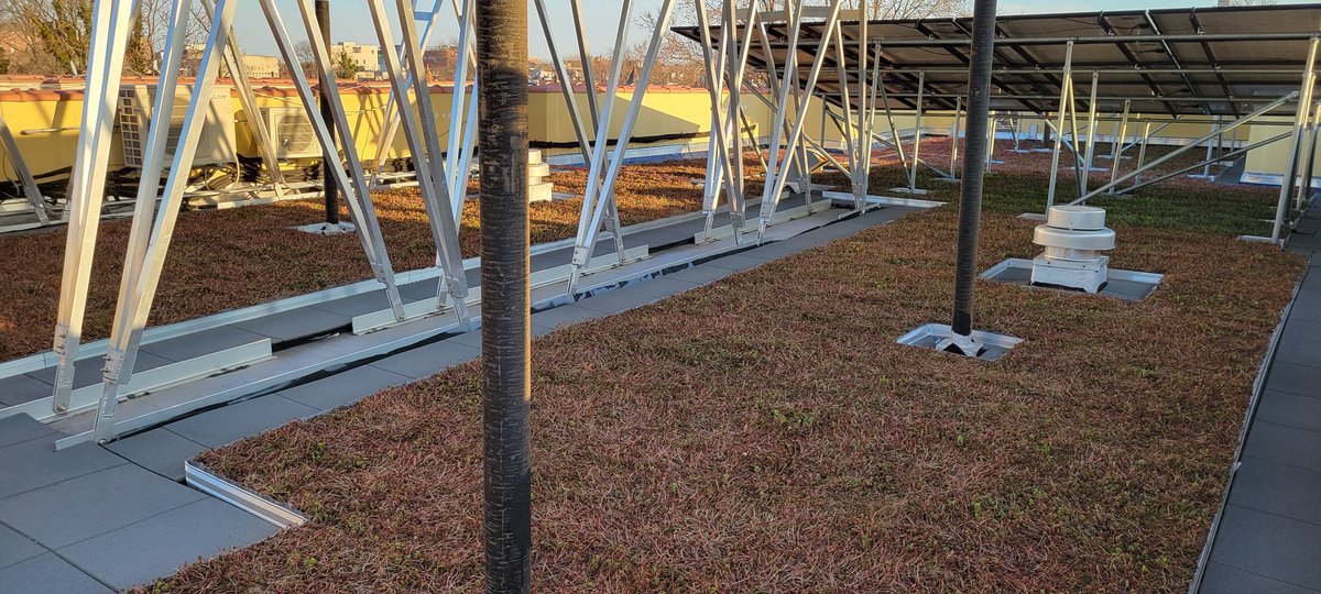 dolcy's tweet photo. Happy #EarthDay! Here is our green roof, which was recently completed :) https://t.co/73uc0ouf9R