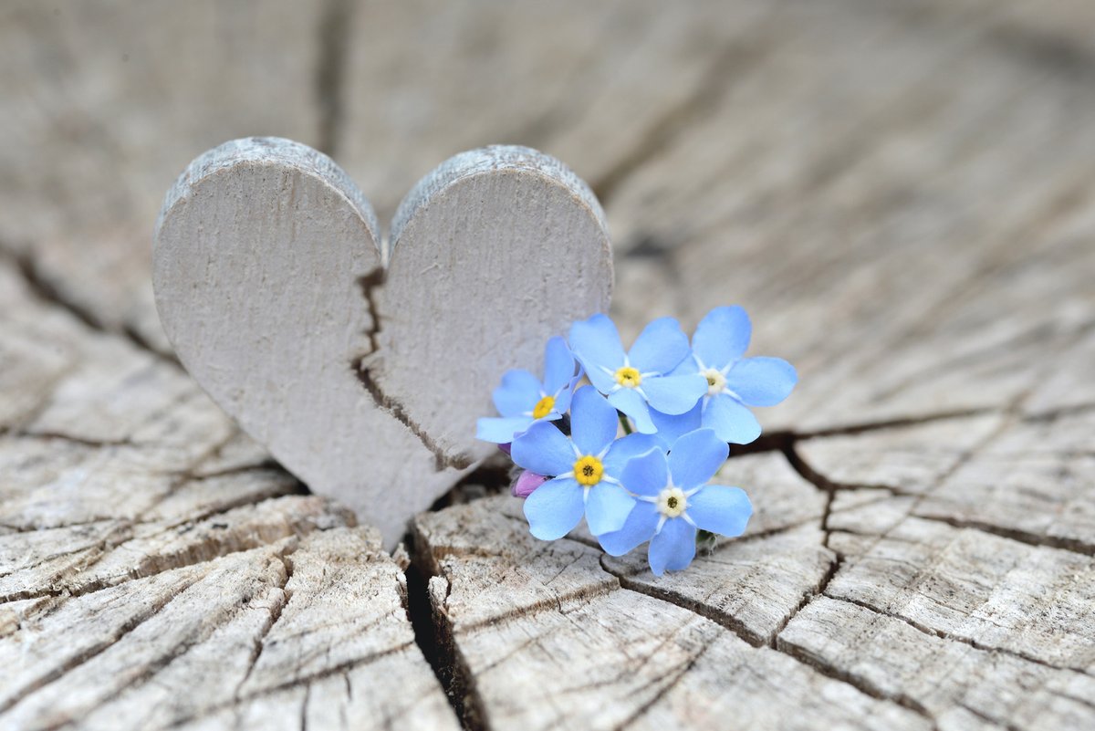 SpiritCoachTalk's tweet photo. Daily Channeling: When your heart breaks, light can enter. The journey of life is about reconfiguring who we THINK we are and what we're capable of. When life breaks you apart, let it open you up to the light that you are. 

#openyourheart #love #spiritcoach #spiritualhealing https://t.co/oM8TxoOqwP