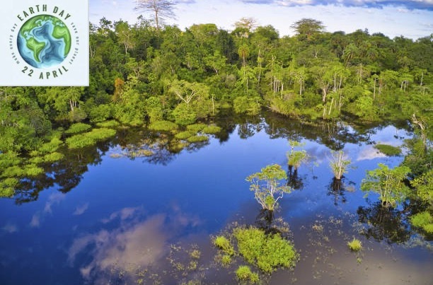 GCEarth's tweet photo. Happy Earth Day! 

Thank you for empowering the Indigenous peoples and local communities of Equateur Province, DR Congo to protect some of the most carbon rich and biodiverse Rainforest in the world. 

#InvestInOurPlanet #earthday2023 #saveourplanet
#conservation #cryptocurrency https://t.co/1k7AewOXJ2