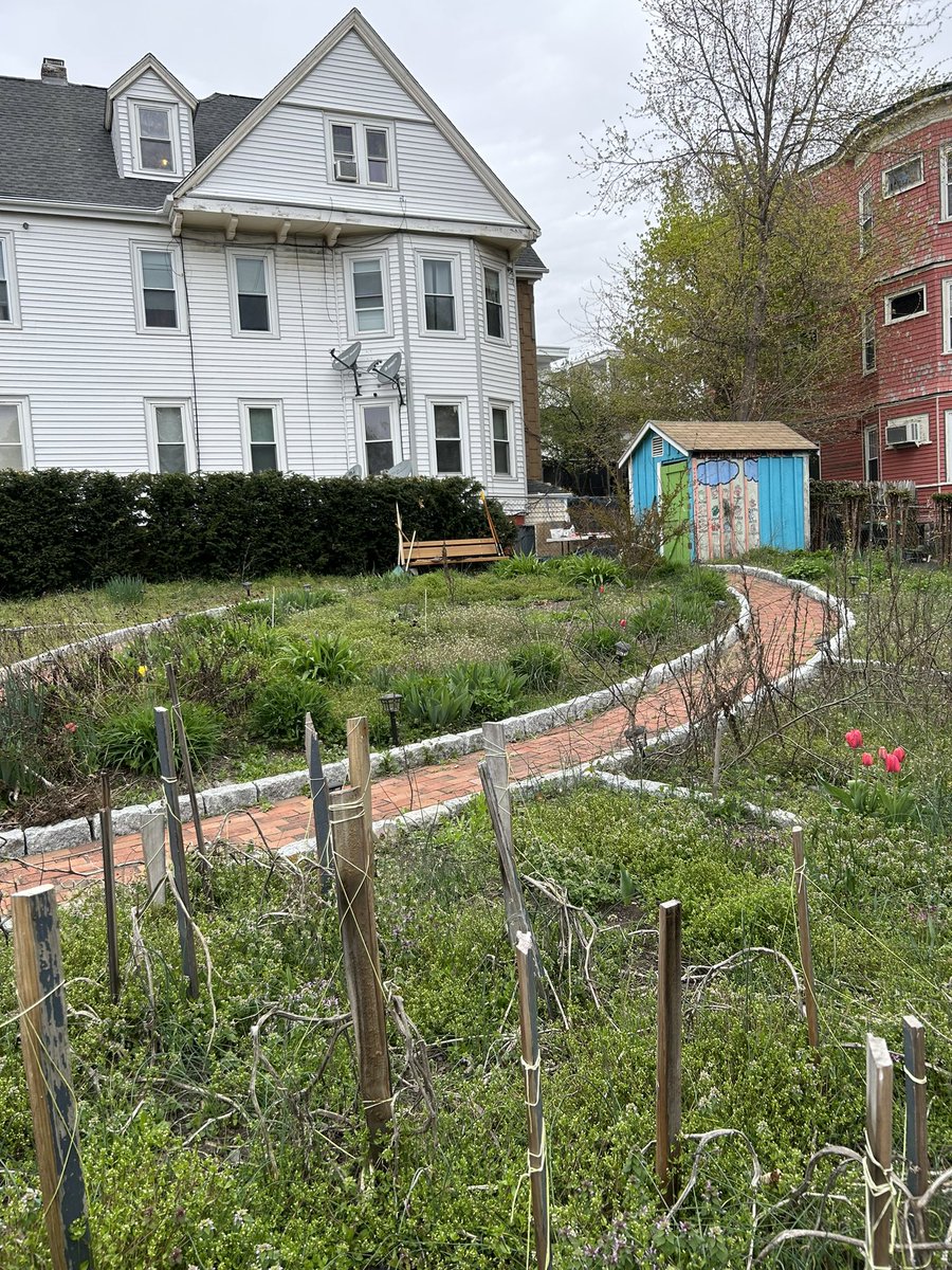 MidDotOns's tweet photo. Great day stepping into the community &amp; showing love on #EARTHDAY 
LOVE YOUR BLOCK 🫶🏾
🧹🌳🍃🪴🏙️  #CITYOFBOSTON #LOVEYOURBLOCK https://t.co/p6vLH869ky