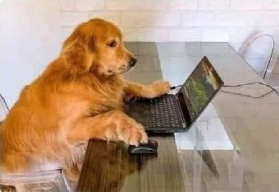 Guarromantico_'s tweet photo. Yo fingiendo que tengo tarea para que no me pongan a barrer la casa: https://t.co/tKeIOhrEcW
