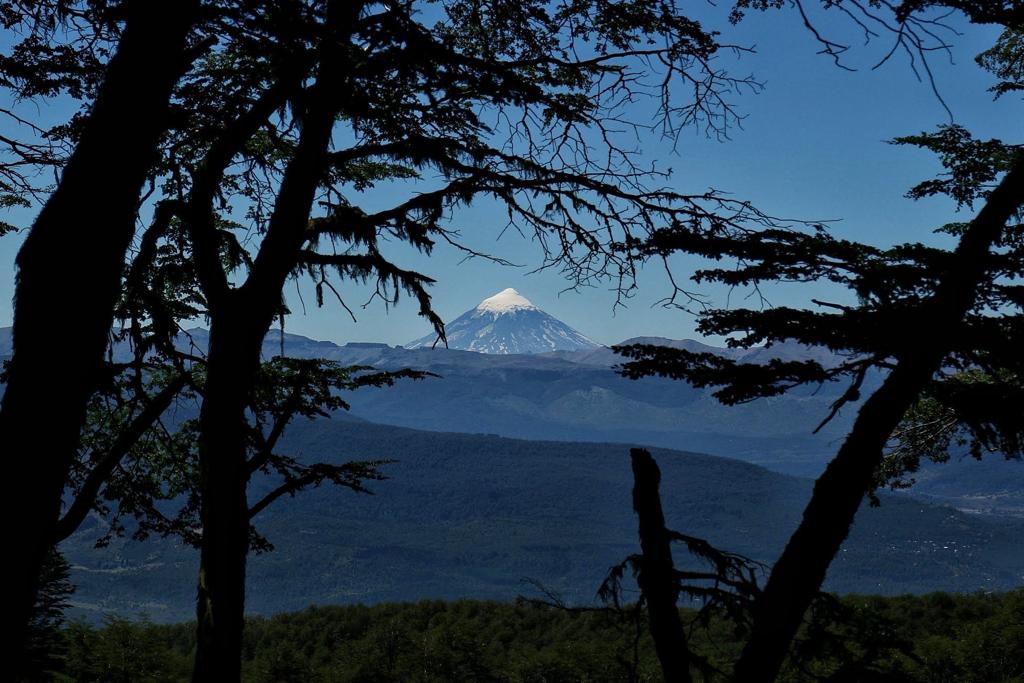 VIVIANAPESEK's tweet photo. #DiaDeLaTierra 🌍🌿 #22deAbril
Renovemos nuestro compromiso por su cuidado. Empecemos por nuestra casa. Cuidemos #Neuquén. https://t.co/PVBq91IIgj