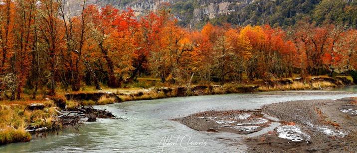 #DiaDeLaTierra 🌍🌿 #22deAbril
Renovemos nuestro compromiso por su cuidado. Empecemos por nuestra casa. Cuidemos #Neuquén.