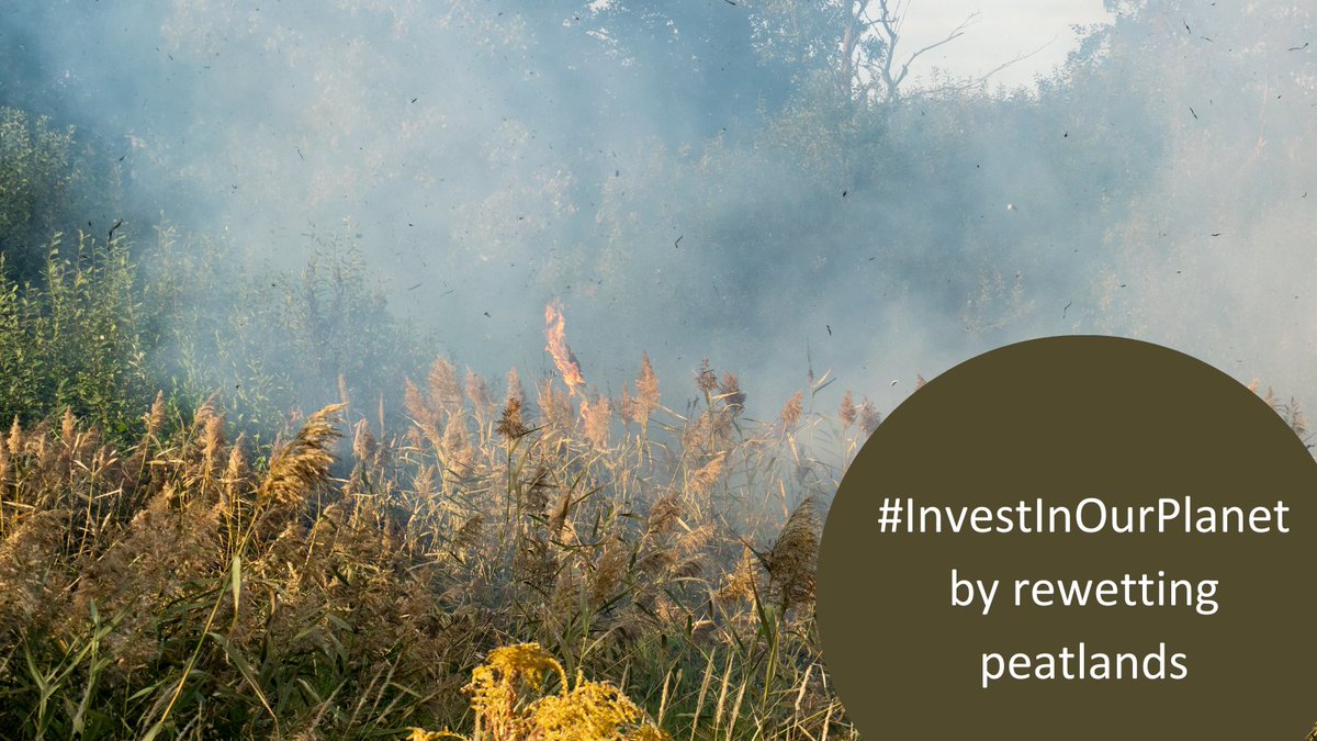 WetlandsInt's tweet photo. To #InvestInOurPlanet we need an integrated approach to our financing, to both reduce investments with negative impacts and mobilise finance for restoration and protection. The solutions exist - we must choose to implement them. @EarthDay https://t.co/k8WWEgx24c