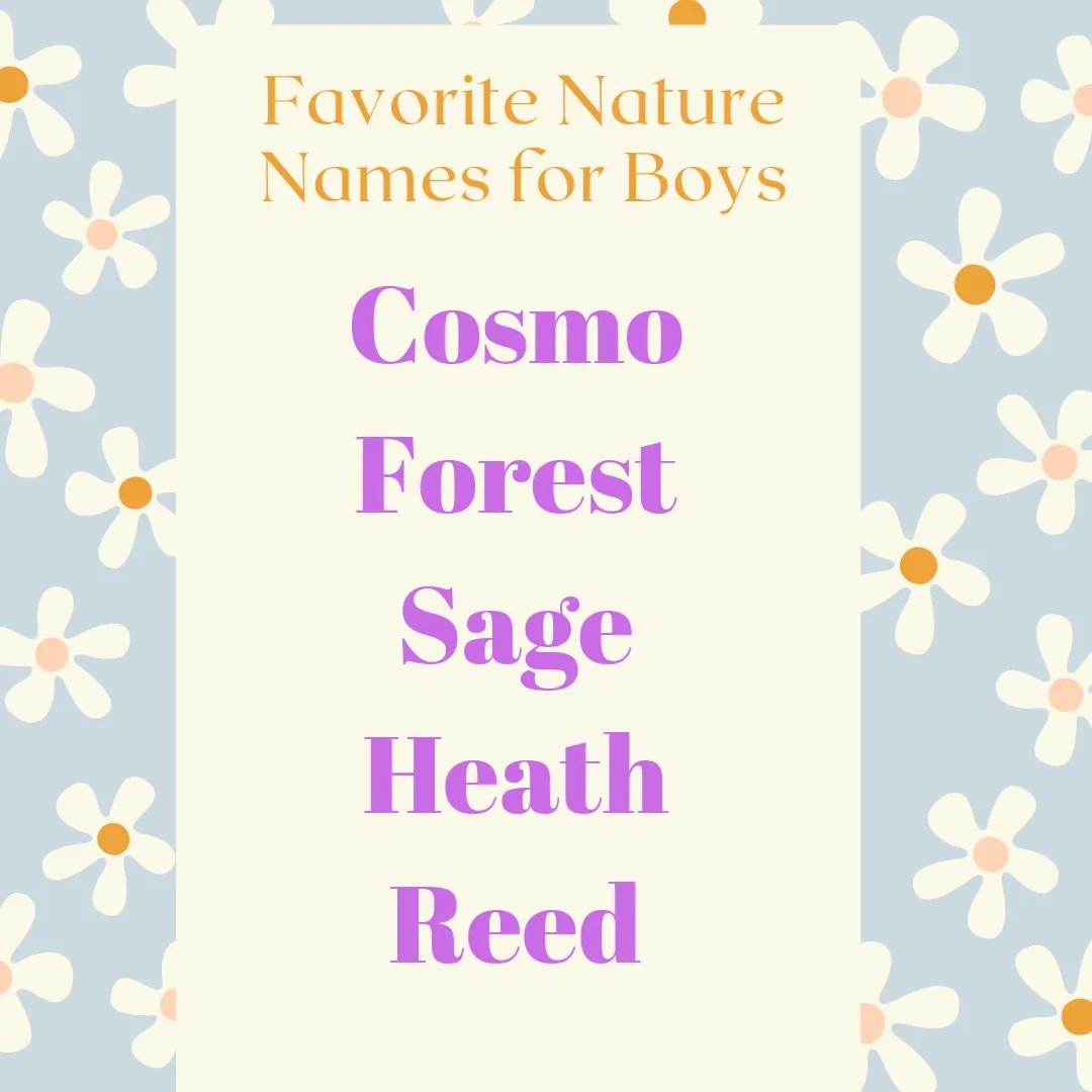 HannahStrom9's tweet image. #EarthDay #babynames #naturenames #earthday 

Do you have any characters with nature names? I have Poppy and a character named Magnolia who goes by Nola.