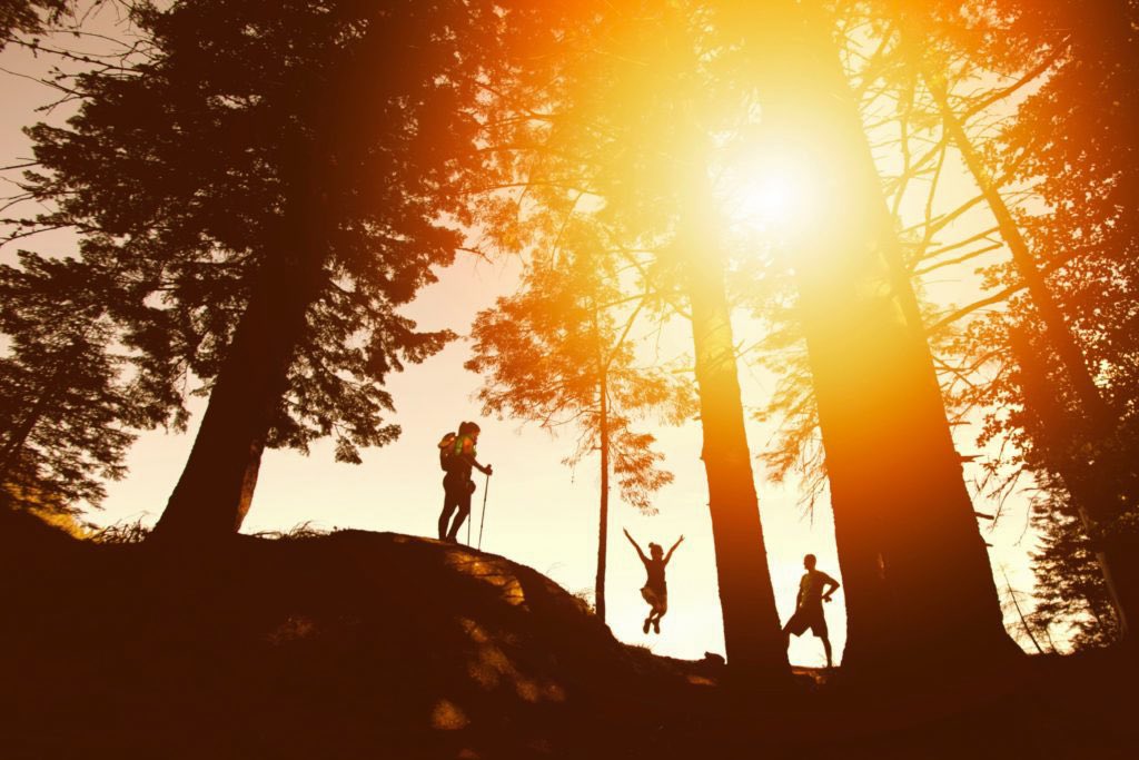 letsgocampbrand's tweet photo. โบ๏ธ๐ This Earth Day Letโs go CAMP! ๐โบ๏ธ
Leaf your worries behind. Hug trees. Take a hike. Be a force of nature. Look up. Let it grow. Live life in full bloom. Go green. The future looks bright. Earth rocks! ๐ฑโจ๐ต๐ฒ๐ณ๐ด๐ชต๐ฑ๐ฟโ๏ธ๐๐ชบ๐๐๐ชธ๐ชจ
#letsgocamp Nothing for sale. https://t.co/JgWI4MjBHk