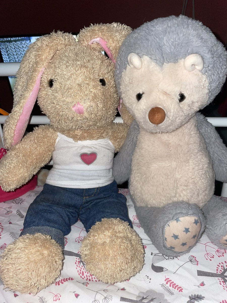 emmyswittle's tweet photo. My two comfort stuffies are fwends!! #ageretwt #agere #agedre #littlespace #stuffedanimals #cutestuffedanimals https://t.co/xt48ZzLo5K