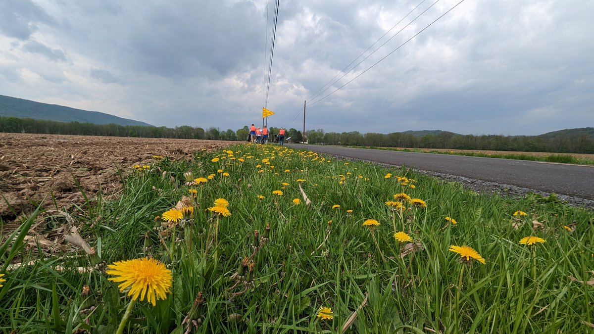 Another #EarthDay, another roadside cleanup. 

Let's prioritize leaving a healthy planet for our kids. 🌎💚