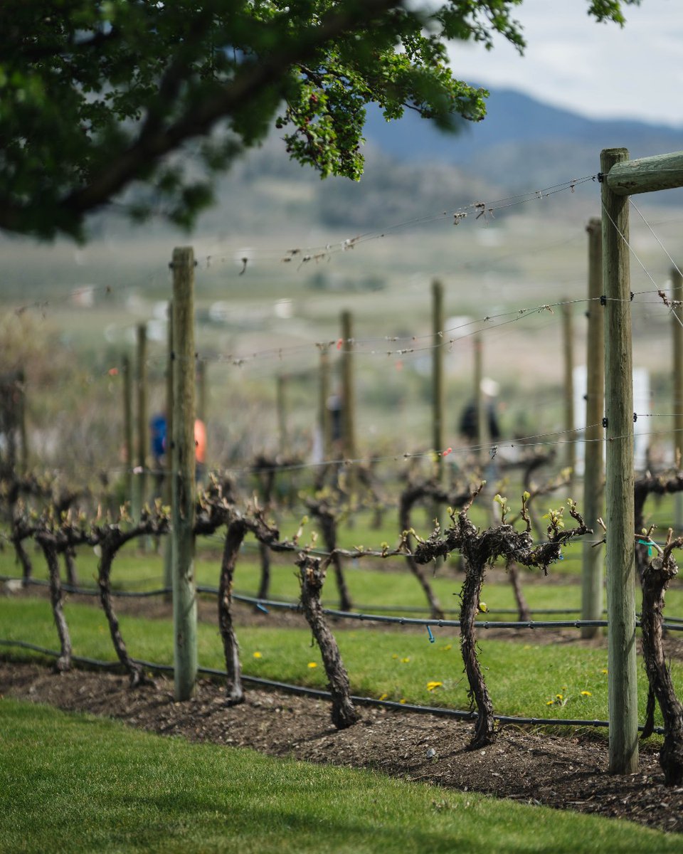 This Earth Day, we’re reminded of the importance of protecting our environment as we strive to continue to nurture and preserve the land we occupy.

Today, we raise a toast! Join us today at our Estate as we celebrate our exceptional wine &amp; its journey from seed to vine to wine.