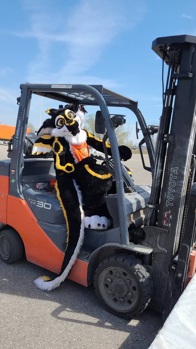 Ever wonder what it's like to Fursuit at work?

Go check out my first ever full length video of me working in Fursuit, at Home Depot!!! 

youtu.be/S7gfZSEY0zk

#furry #fursuit