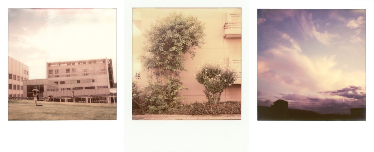 moTOY1967_sub's tweet photo. #photography #Polaroid #ImpossibleProject https://t.co/JPkiU7mJxw