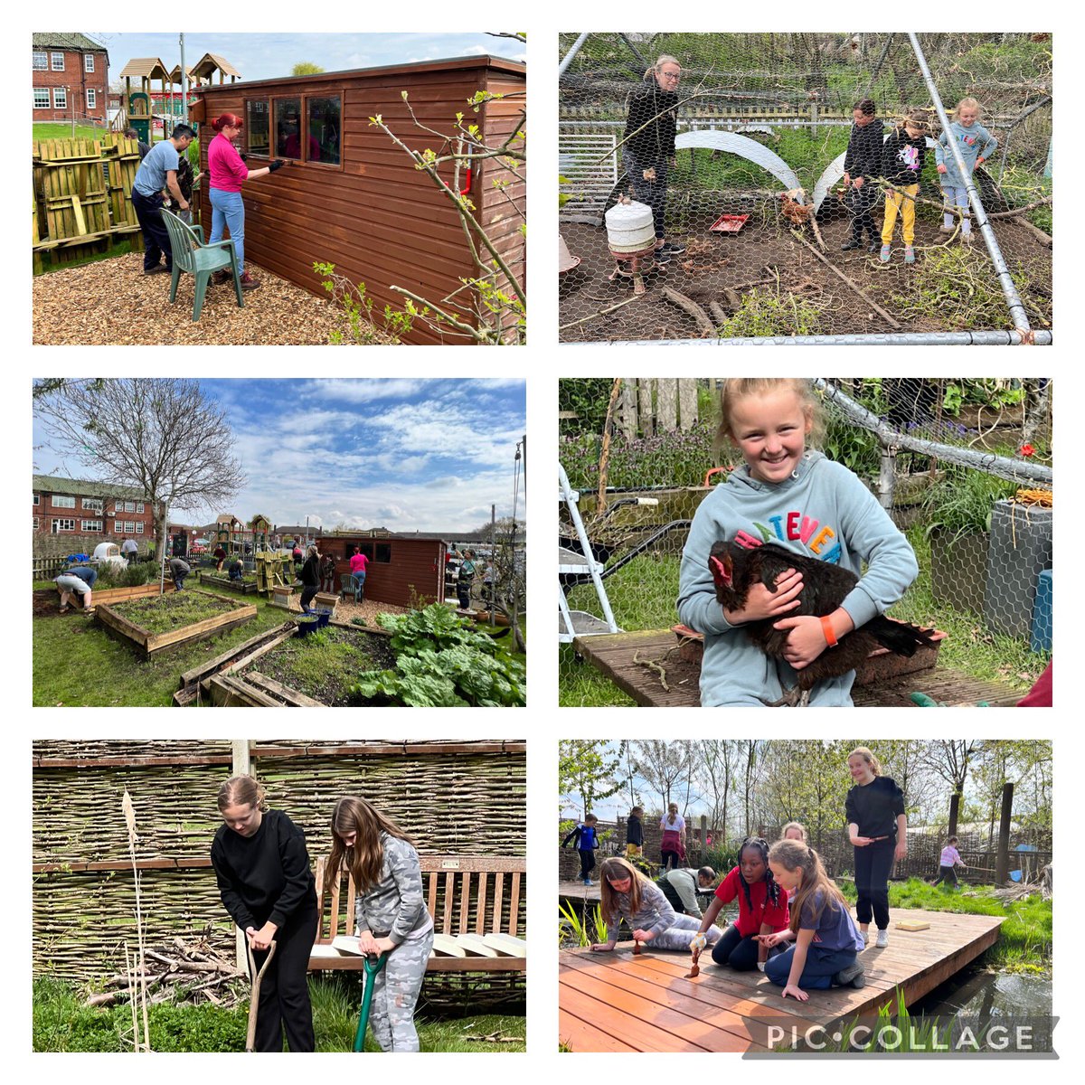 mvprimaryschool's tweet photo. A selection of #groundsday photos showing more of the hard work. https://t.co/NeJlnWWiU7