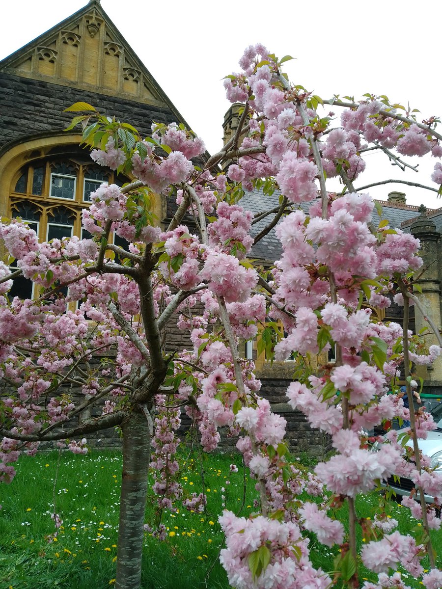 Katie Munnik tweet media