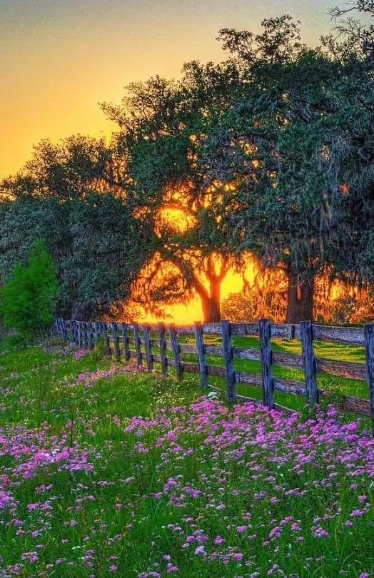 sandrose03's tweet photo. #NatureBeauty https://t.co/nild44TaAW