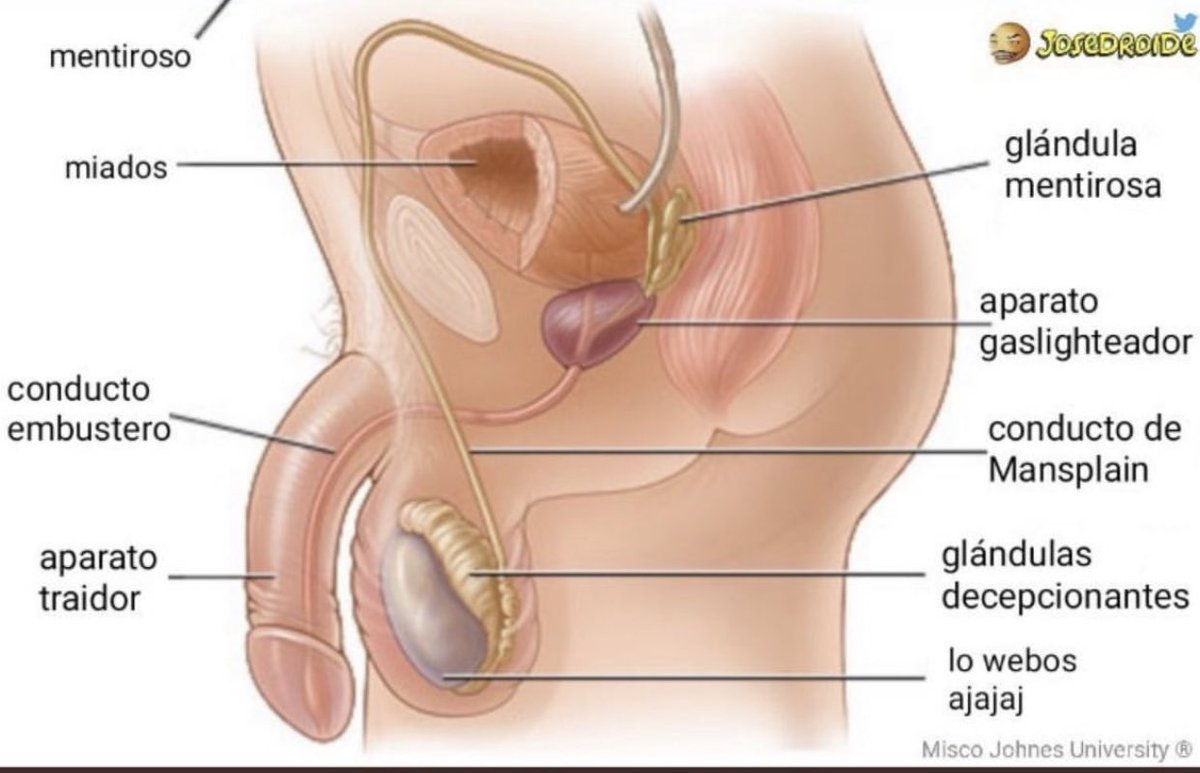 𝕷𝖔𝖛𝖎𝖓𝖌 𝕸𝖊𝖒𝖊𝖘 🥕 (@memes4love1) on Twitter photo 