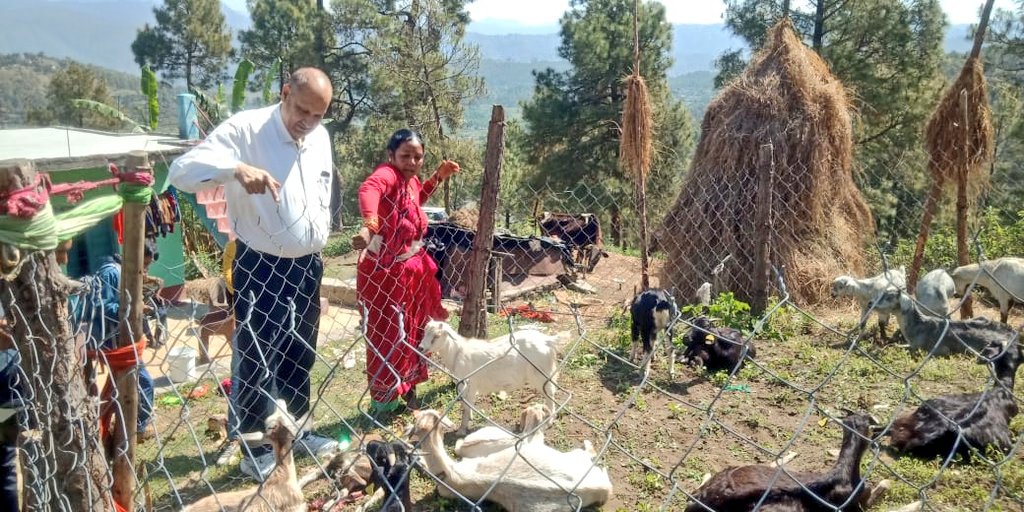 cvobageshwargm1's tweet photo. Director AHD Dr Prem Kumar sir today  reviewed the works of  FIU - USGCF and visited the goat units today on 22/ 04/23 at Garur, Bageshwar.
#PashudhanUK #Uttarakhand #AnimalHealth
@DMBageshwarUK https://t.co/GrTYCgjJnD