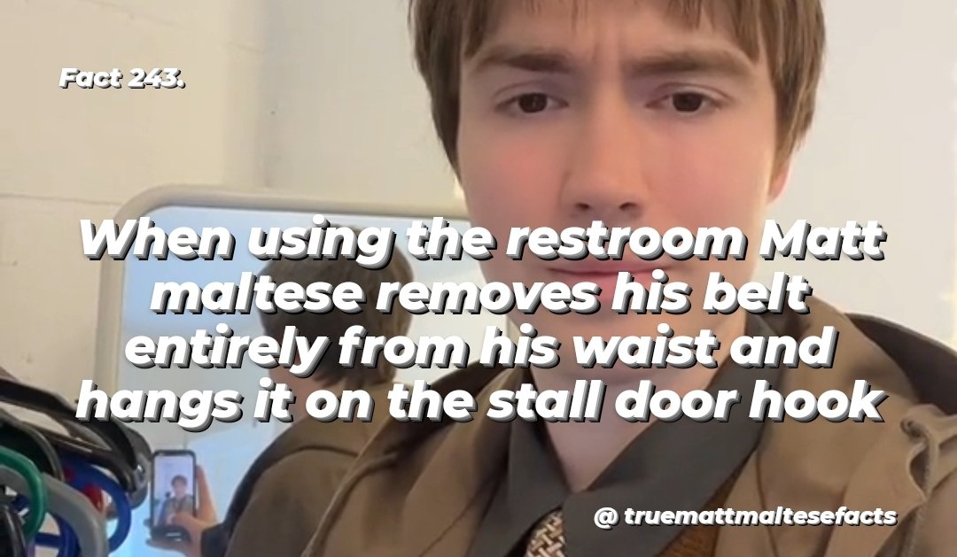 TrueMattMalteseFacts tweet media