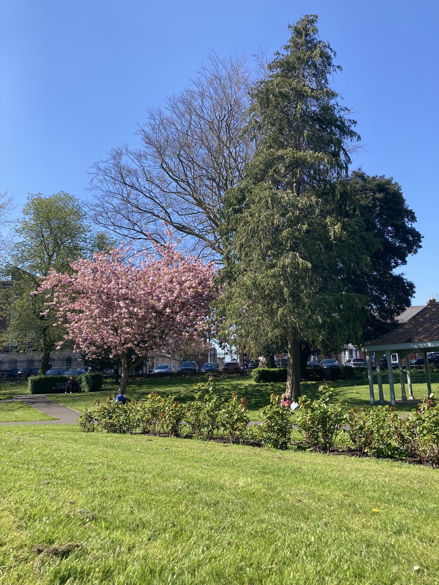 A couple of days ago I had a great experience while presenting my work carried at <a href="/TissueEngDublin/">RCSI TERG</a> at the annual <a href="/ambercentre/">AMBER</a> conference in Limerick. I was able to chat and share ideas with fellow researchers, and I even got to enjoy the sunny summer vibes. #AMBERConf23.