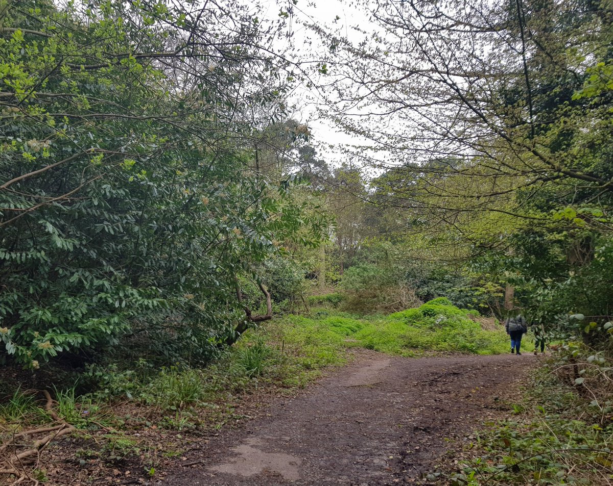 CrikeyCroydon's tweet photo. A delightful stroll along a section of the 66-mile Vanguard Way today. The route, which runs from #Croydon to Newhaven, is so-called because its originators once travelled home in the guard's van on a crowded train. https://t.co/h4ZAVERnKY