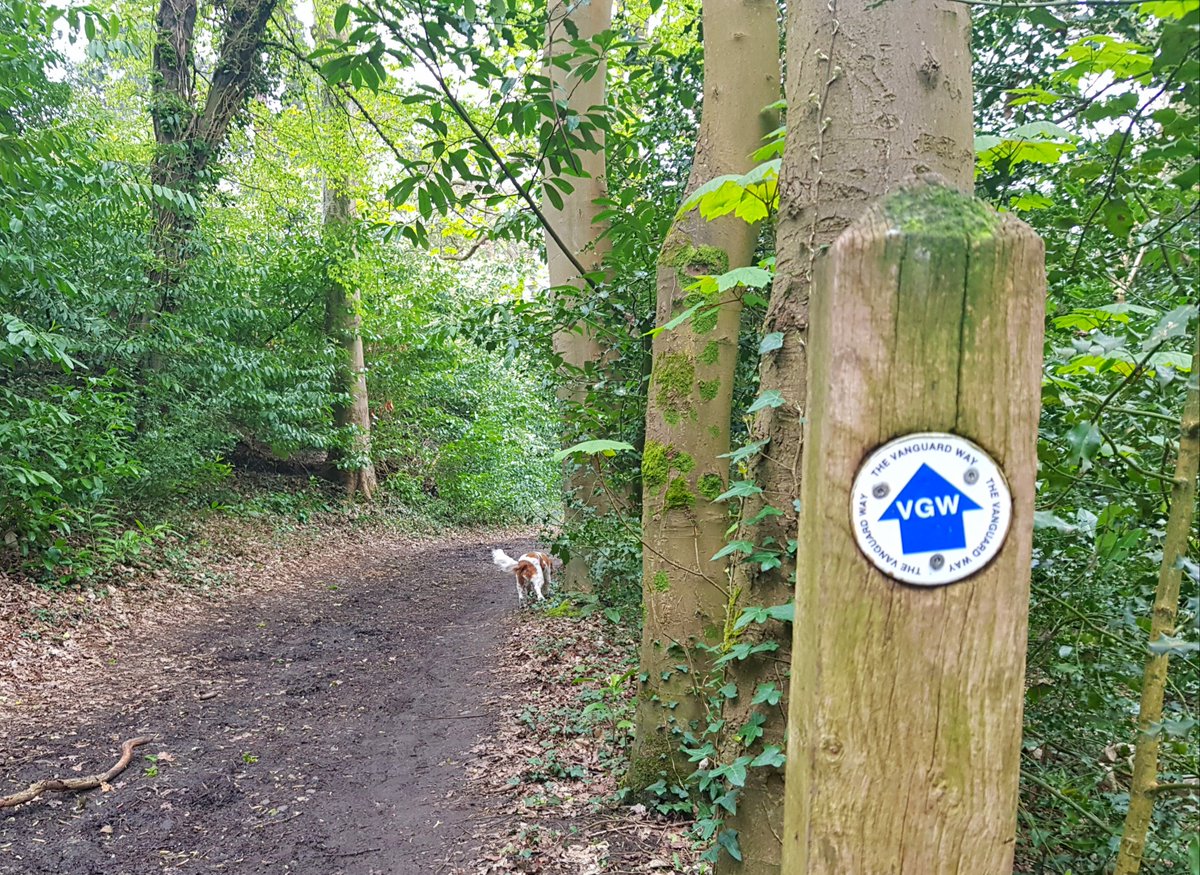 CrikeyCroydon's tweet photo. A delightful stroll along a section of the 66-mile Vanguard Way today. The route, which runs from #Croydon to Newhaven, is so-called because its originators once travelled home in the guard's van on a crowded train. https://t.co/h4ZAVERnKY