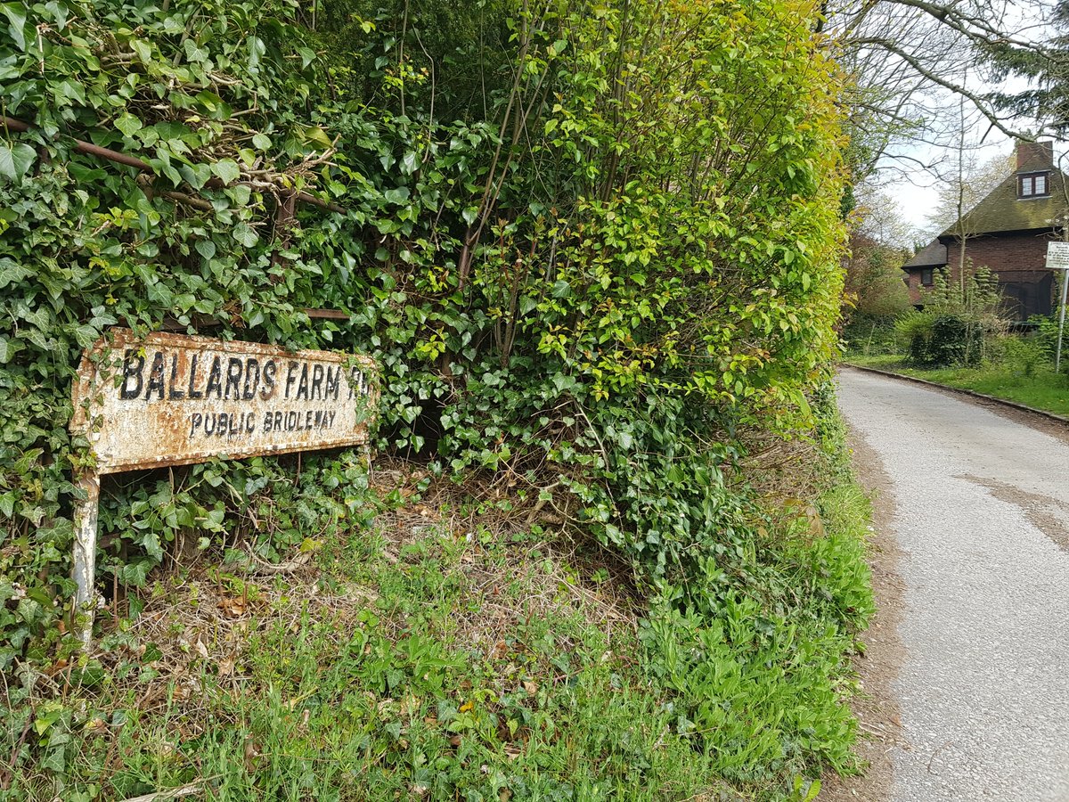 A delightful stroll along a section of the 66-mile Vanguard Way today. The route, which runs from #Croydon to Newhaven, is so-called because its originators once travelled home in the guard's van on a crowded train.