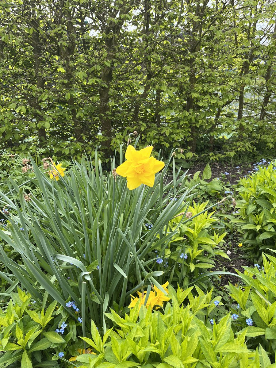 sussex_tours's tweet photo. The sun cooperated by shining down on Carters Corner Farm, #Cowbeech, this afternoon for their open garden in support of @stwilfridstweet.
A spacious and beautiful garden, it was blissful sitting outside in the sunshine. https://t.co/H7bFRmfPx5