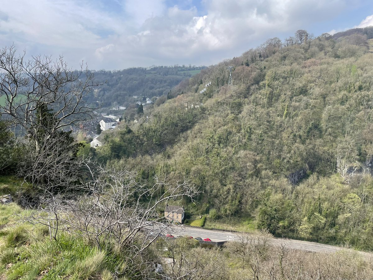 Beeley#25 tweet media