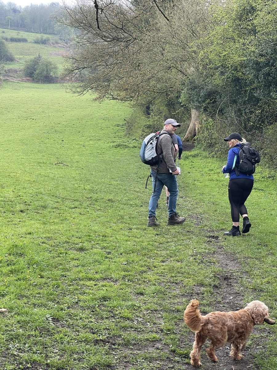 Beeley#25 tweet media