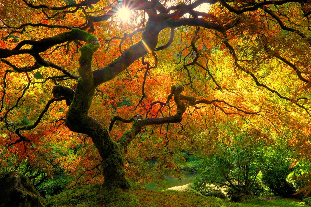 Some 385 images were entered in the <a href="/stanforddoerr/">Stanford Doerr School of Sustainability</a> School of Sustainability photo contest, all considering the natural world with wonder, concern, hope, and resolve. Check out the winners: stanford.io/3V0ERqx