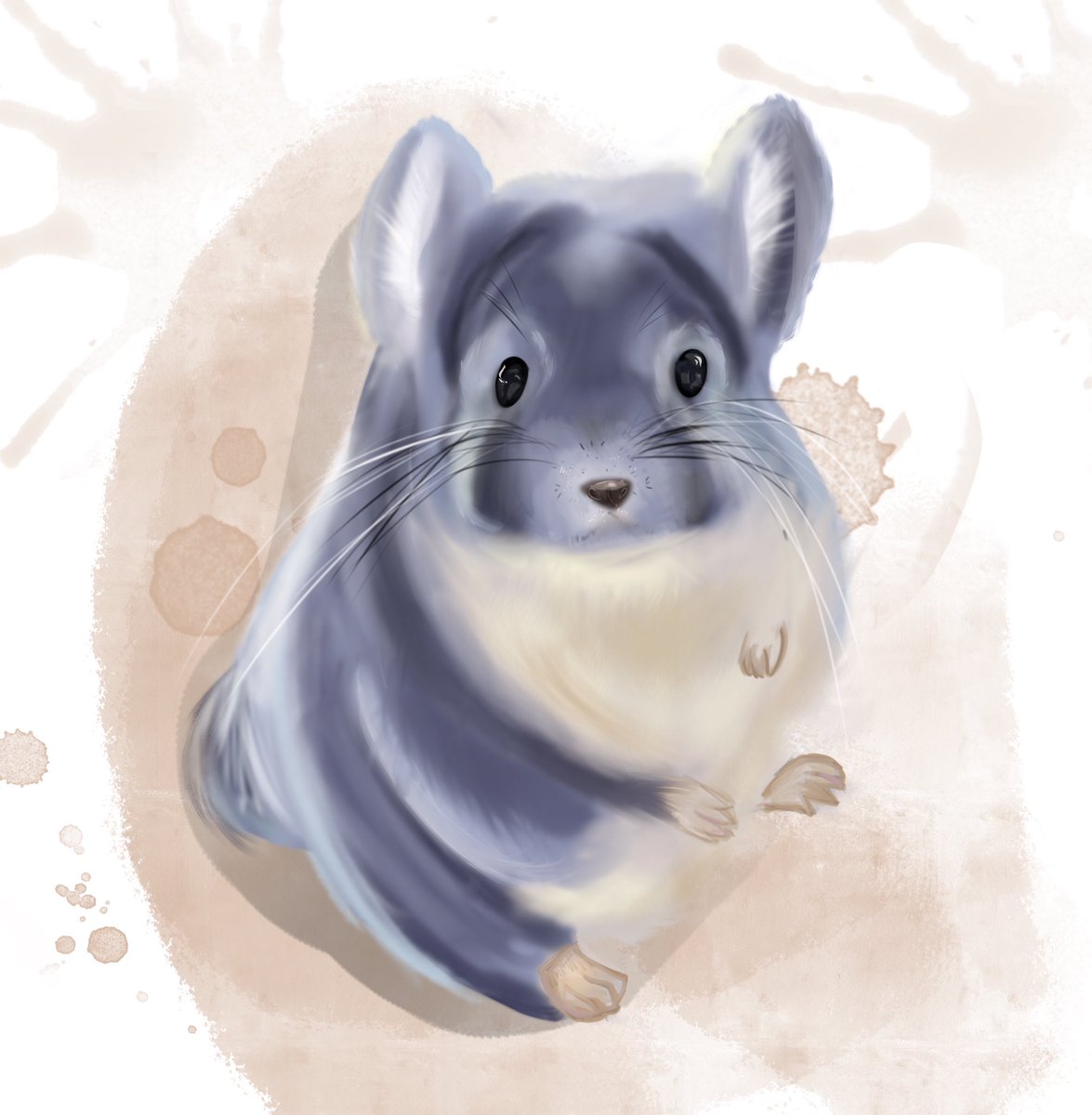 CattyArty's tweet photo. Hi👋
Chinchilla 🐭🤍
Drawing of my daughter❤️
She tried very hard☘️
I am proud of her success 🌠 https://t.co/ABNY1v39Uf