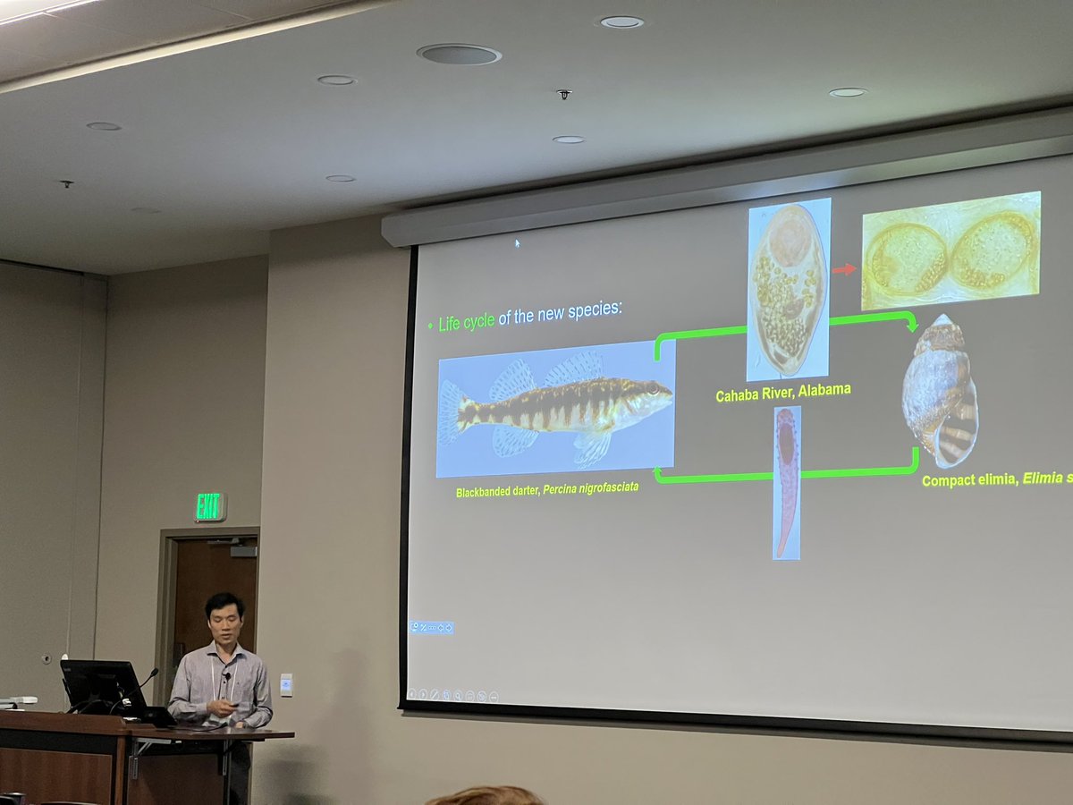 SESocParasit's tweet photo. That’s a wrap on paper sessions! Excellent job everyone, thank you to all that joined us this year. Stay tuned for student award announcements #SSP #parasites #cestodes #snakebird #trematodes https://t.co/vkcEvzassb