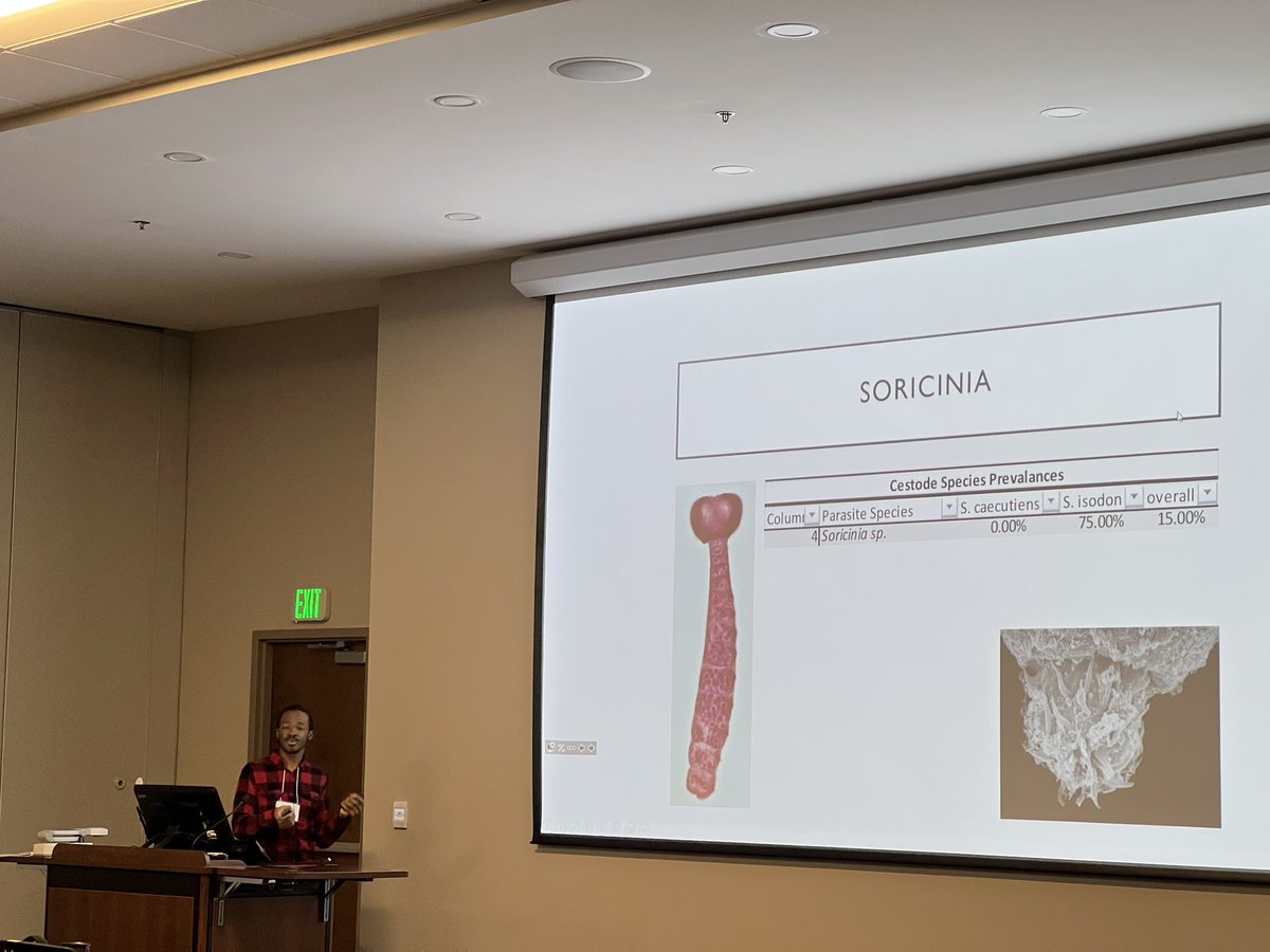 SESocParasit's tweet photo. That’s a wrap on paper sessions! Excellent job everyone, thank you to all that joined us this year. Stay tuned for student award announcements #SSP #parasites #cestodes #snakebird #trematodes https://t.co/vkcEvzassb