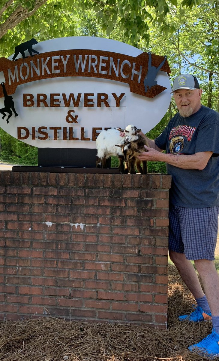 Ready to GOGA (Goat + Yoga) at 2 PM today! 🐐🧘‍♀️🧘‍♂️ Join us at Monkey Wrench Brewery for some furry and fun-filled goat yoga. Tickets available at the door. Don't miss out on this unique experience! 🍻🐐 #GoatYoga #FurryFun #MonkeyWrenchBrewery
