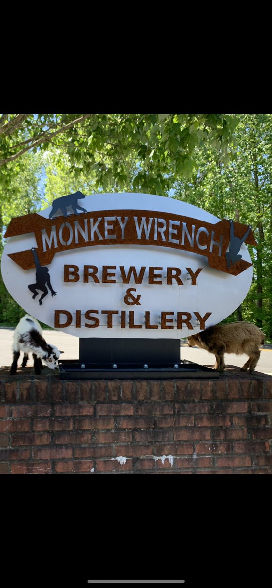 MonkeyWrenchGA's tweet photo. Ready to GOGA (Goat + Yoga) at 2 PM today! 🐐🧘‍♀️🧘‍♂️ Join us at Monkey Wrench Brewery for some furry and fun-filled goat yoga. Tickets available at the door. Don't miss out on this unique experience! 🍻🐐 #GoatYoga #FurryFun #MonkeyWrenchBrewery https://t.co/xe8cmD0wLh