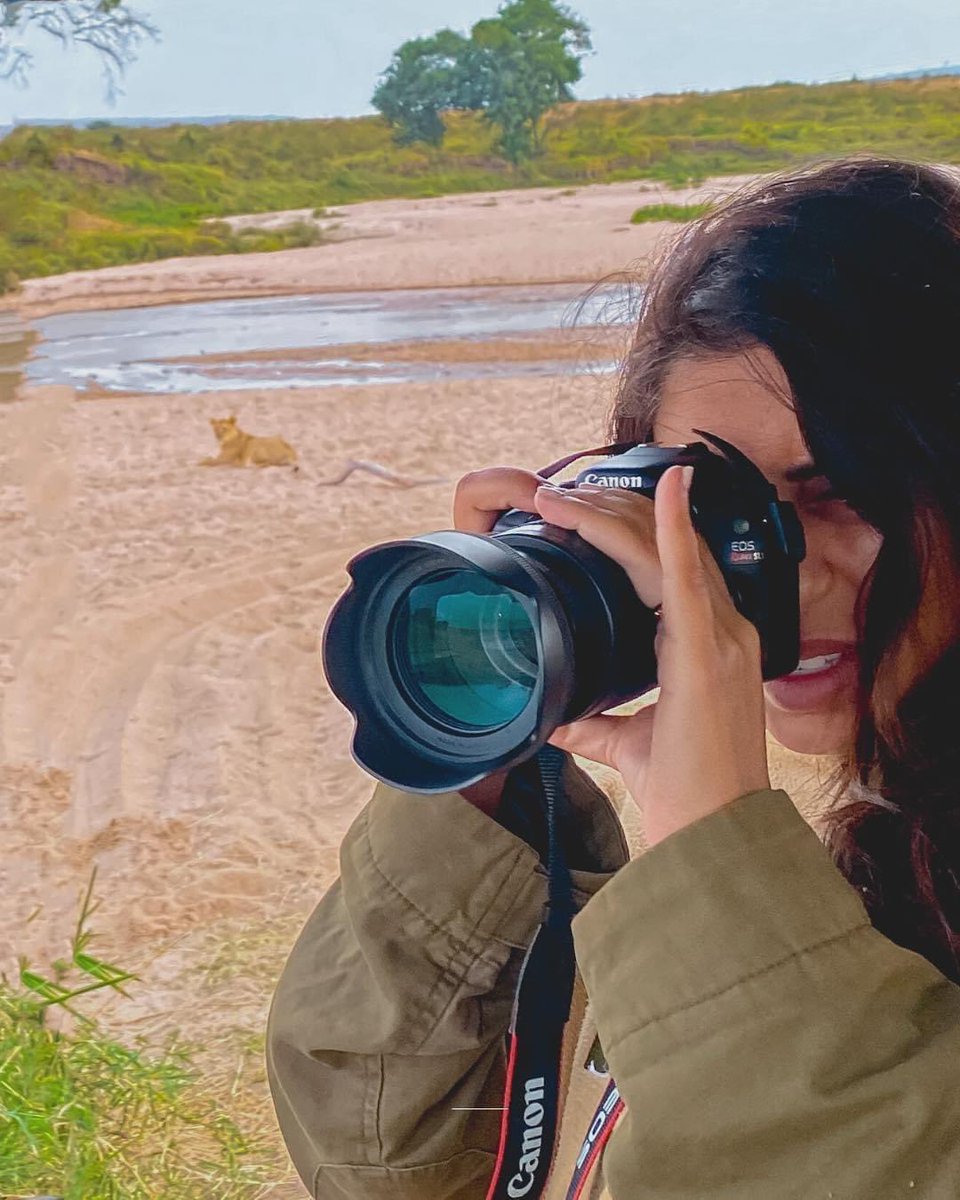 In honor of Earth Day 🌎 🦁, LILI co-founder <a href="/aliyajasmine/">Aliya Jasmine</a> is now donating 100% of profits made from the sale of her photojournalism print collection “The Lion Edit” to <a href="/MoveTheWorld/">World Animal Protection</a> for their effort to end the global wildlife trade.#earthday2023 #letthembewild #animalphotography