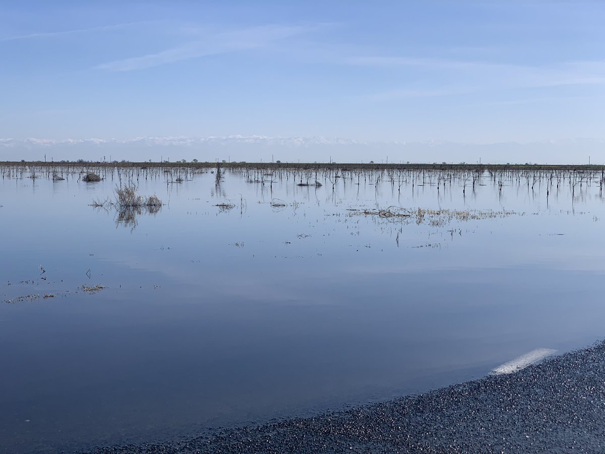 JimScottKGET's tweet image. Recharging our groundwater basin, the food waste recycle mandate and inside the Point in Time homeless census. Kern County: In Depth, 6pm Saturday on #KGET TV-17.
#groundwater #organics #climatechange #homelessness