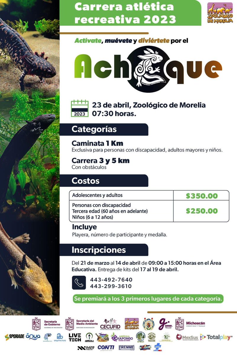 UMSNH_Oficial's tweet photo. ¡INSCRÍBETE! Carrera Atlética recreativa 2023 por el #Achoque
La #UMSNH y el Zoológico de Morelia invitan a participar en esta caminara y carrera con causa. https://t.co/FpzTOujCga