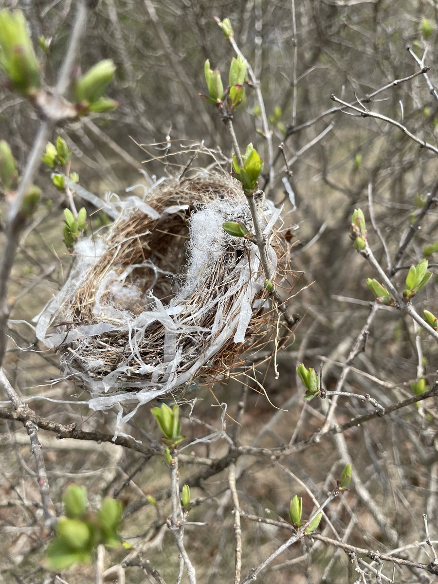 Happy Earth Day!🌎 We celebrated with messages to the Earth as well as a community garbage clean up.  If we love the Earth, we will care for and protect the Earth. <a href="/SeanEaleyEDU/">Sean Ealey</a>  #EarthDay2023