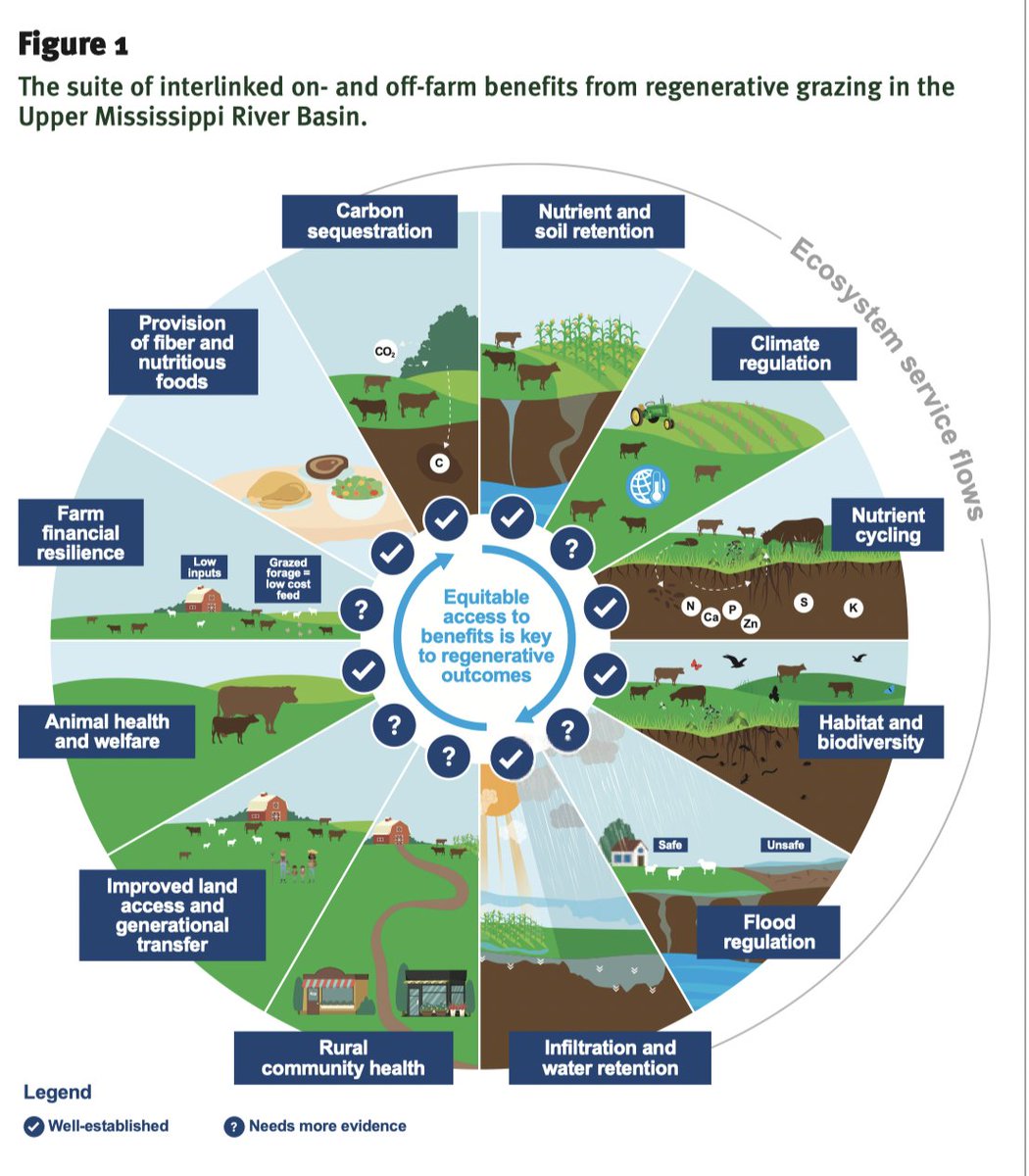 AnnChildersMD's tweet photo. Nature invented regenerative grazing (RG).  3-5 million buffalo once performed this function on the US Great Plains. RG created 6 feet of the richest topsoil on earth, black with sequestered carbon. Prairie plants, adapted to rich prairie topsoil, sent their roots 6 feet down https://t.co/Wg6KDcVYWA