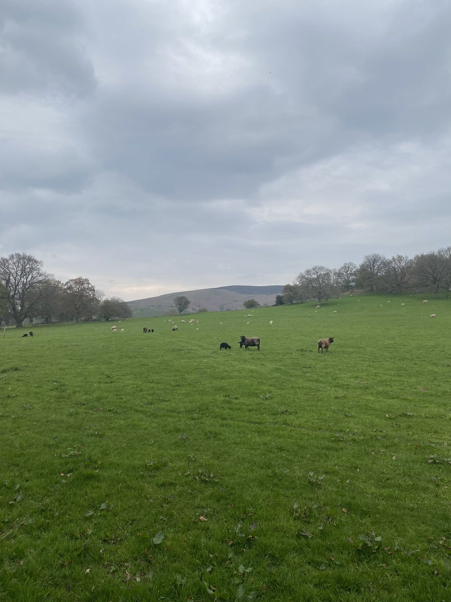 Centric Lab tweet media