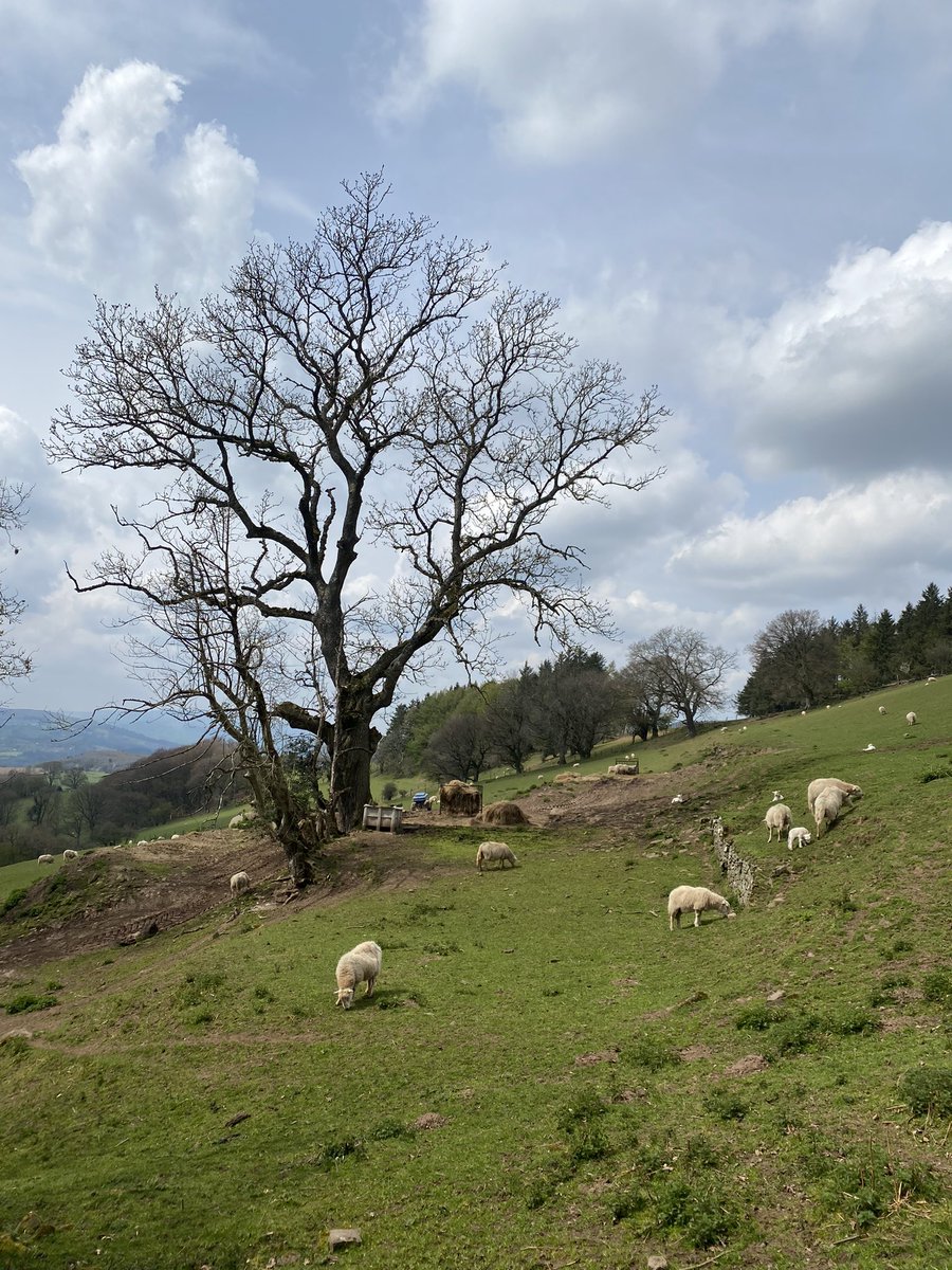 Centric Lab tweet media