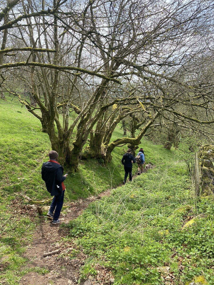 Centric Lab tweet media