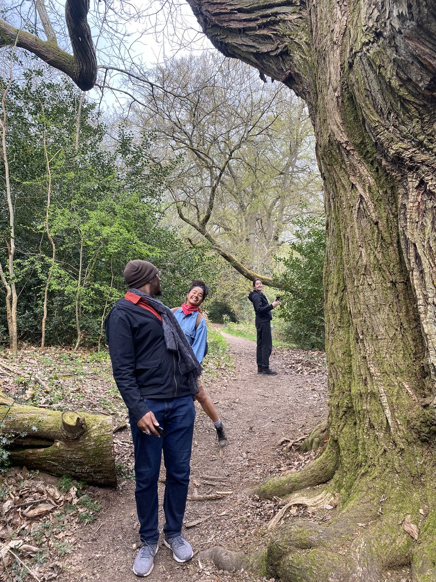 Centric Lab tweet media