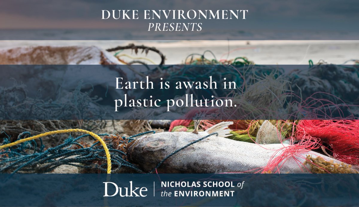 Duke University tweet media