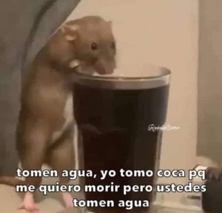 Tomen agua