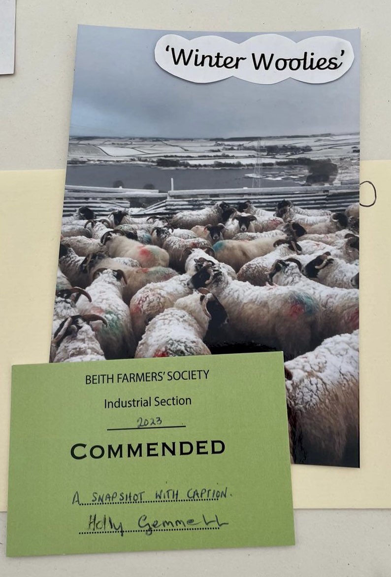 DalryPrimary's tweet photo. 🏆Congratulations to our own Miss G! She was a champion with all her baking at the #BeithShow today … only question to ask … will the staff room be sampling on Monday?? Congrats to wee Jack too … we’d love to see a pic of your junk model 🌟 https://t.co/nh69C0YRJI