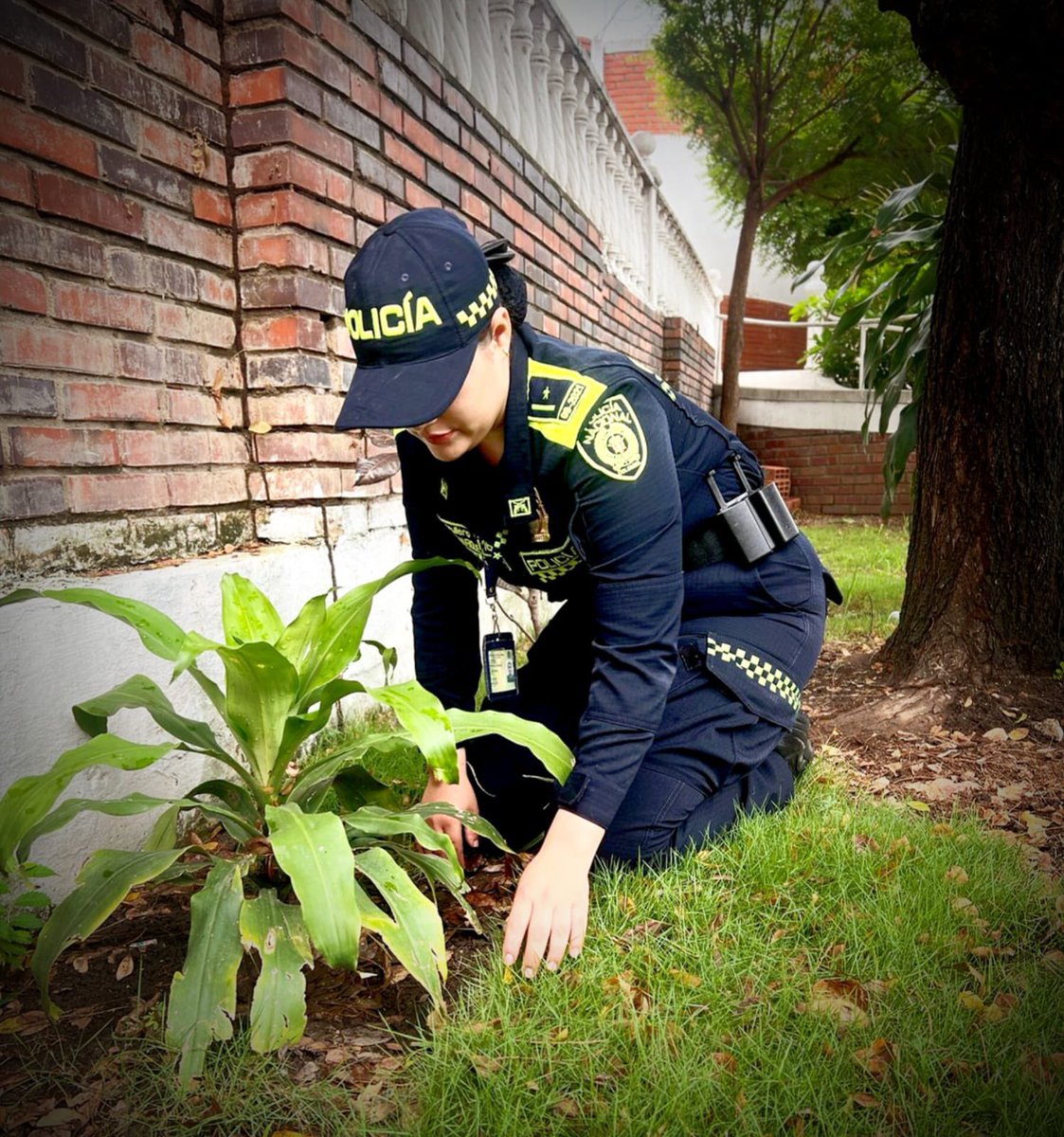 Policía Metropolitana de Cúcuta tweet media