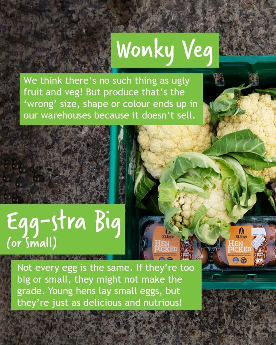 FareShareSW's tweet photo. Happy #EarthDay2023! Today we're shining a light on the issue of food surplus. Instead of letting food slip through the cracks, we collaborate closely with local food producers to redistribute their surplus food, feeding those in need while also protecting our planet 💚 🌎🌿 https://t.co/nAE13PBuOj