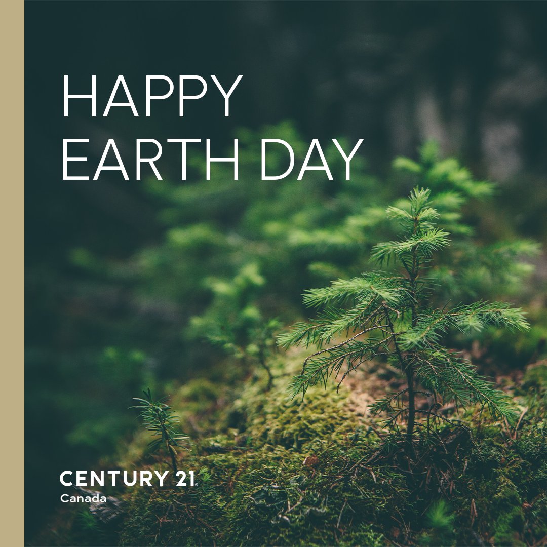 Ali Hassan, PMP, MBA tweet media