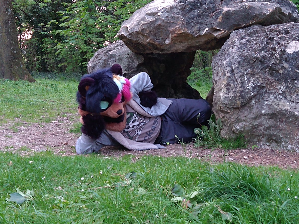 fur_vin's tweet photo. Am late for #FursuitFriday but the pic were taken friday so it counts #fursuit

This is my home now, under the big boulder the size of a small boulder.

✂️ @leohariart
📷 @GwennPetrichor https://t.co/vsT1kklNWS